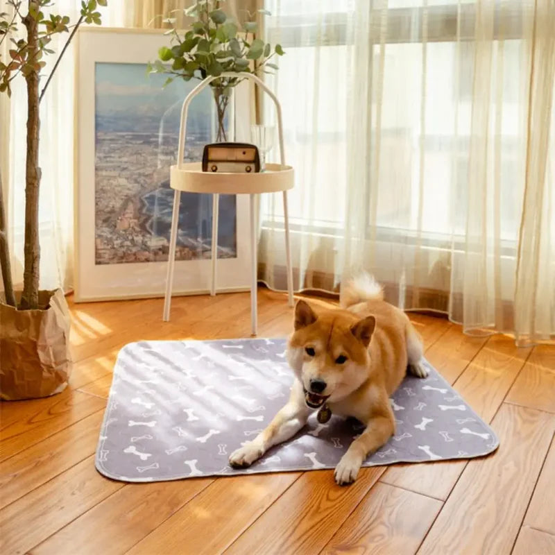 Tappetino Assorbente Cani Anti-Perdite